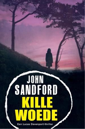 Cover of the book Kille woede by Gérard de Villiers
