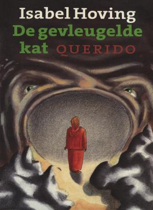 Cover of the book De gevleugelde kat by Sarah Waters
