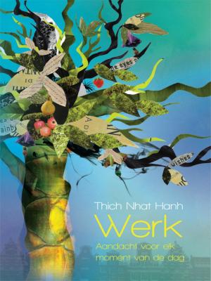 Cover of the book Werk by Arjan Broere