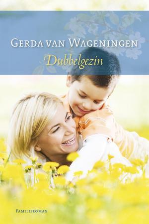 Cover of the book Dubbelgezin by J.F. van der Poel