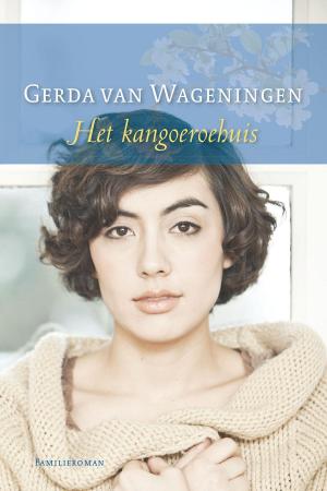 Cover of the book Het kangoeroehuis by Hans Stolp