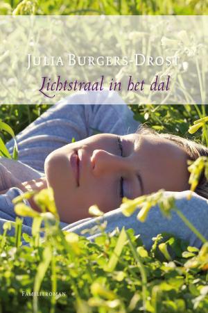 Cover of the book Lichtstraal in het dal by Babette James