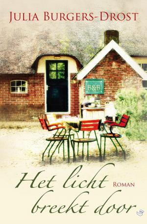 Cover of the book Het licht breekt door by Shayla Hart