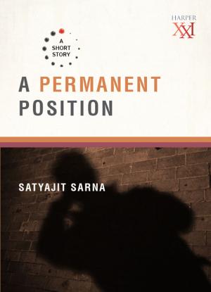 Cover of the book A Permanent Position by Hindol Sengupta