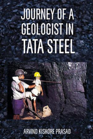 Cover of the book Journey of a Geologist in TATA Steel by Dr Sanju Gupta, Dr Chanchal Kumar, Prof Lungthuiyang Riamei
