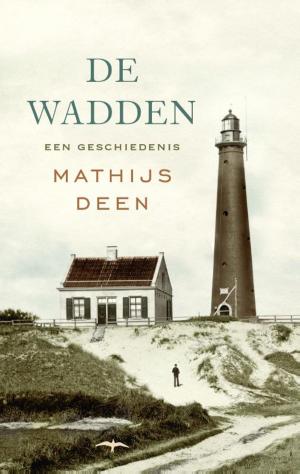 Cover of the book De Wadden by David Vann