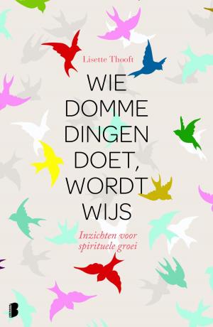 Cover of the book Wie domme dingen doet wordt wijs by Kate Hamer