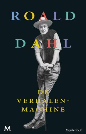 Cover of the book De verhalenmachine by David Nicholls