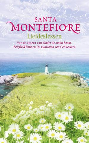 Cover of the book Liefdeslessen by Nora Roberts