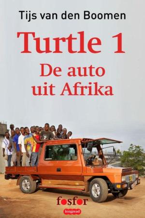 Cover of the book Turtle 1: by Maarten 't Hart