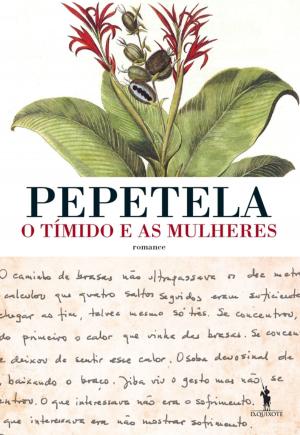 Book cover of O Tímido e as Mulheres