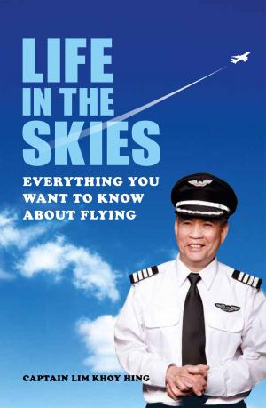 Cover of the book Life in the Skies by Andy Maslen