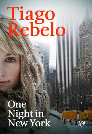 Cover of the book One Night in New York by LESLEY PEARSE