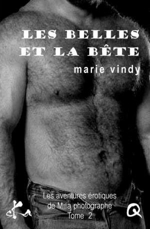 Cover of the book Les belles et la bête by Frédérique Trigodet