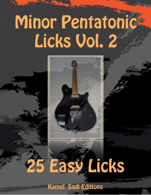 Cover of the book Minor Pentatonic Licks Vol. 2 by Kamel Sadi