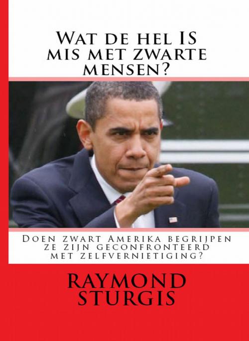Cover of the book Wat de hel IS mis met zwarte Mensen? by Raymond Sturgis, Sturgis Publications