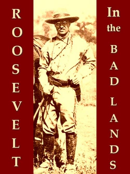 Cover of the book Roosevelt in the Bad Lands by Hermann Hagedorn, VolumesOfValue