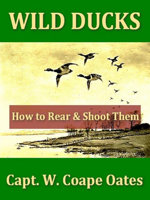 Cover of the book Wild Ducks, How to Rear and Shoot Them by W. Coape Oates, G.E. Lodge, Illustrator, VolumesOfValue