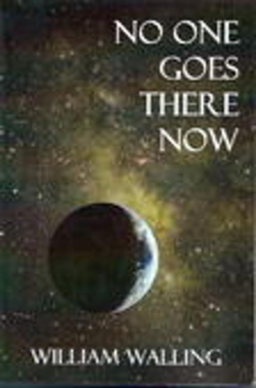 Cover of the book No One Goes There Now by William Walling, Virtualbookworm.com Inc.