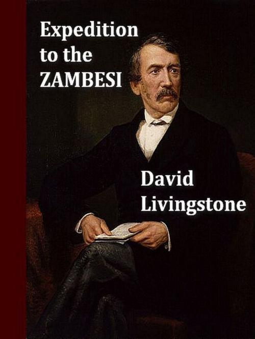 Cover of the book A Popular Account of Dr. Livingstone’s Expedition to the Zambesi and Its Tributaries by David Livingstone, VolumesOfValue