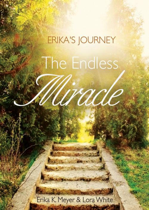 Cover of the book Erika's Journey by Erika Meyer, Lora White, Lora White