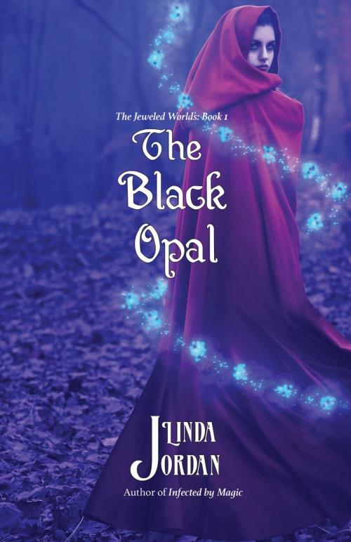 Cover of the book The Black Opal by Linda Jordan, Metamorphosis Press
