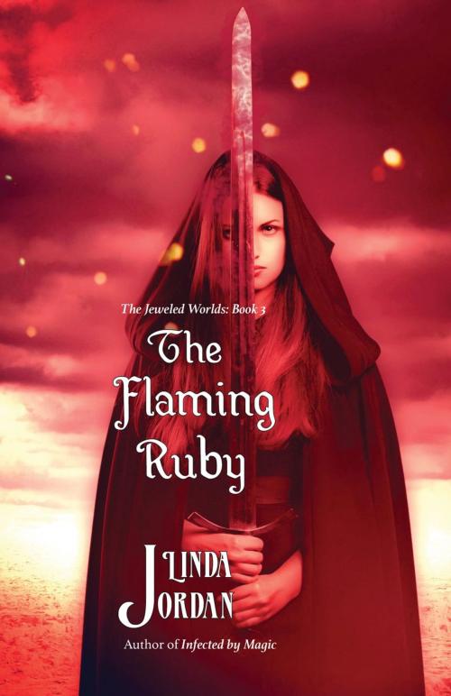 Cover of the book The Flaming Ruby by Linda Jordan, Metamorphosis Press