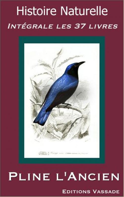 Cover of the book Histoire Naturelle (Intégrale les 37 livres) by Pline l'Ancien, Vassade