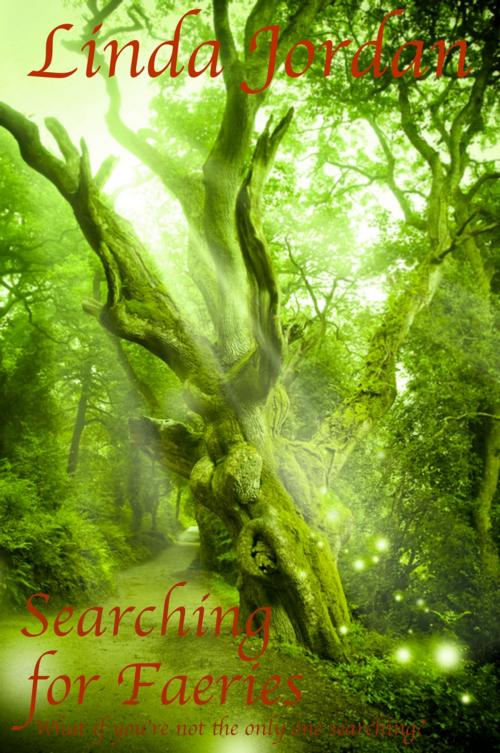 Cover of the book Searching for Faeries by Linda Jordan, Metamorphosis Press