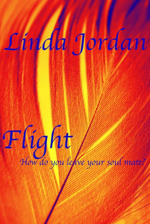 Cover of the book Flight by Linda Jordan, Metamorphosis Press
