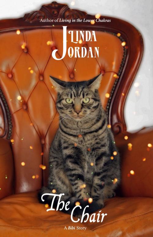Cover of the book The Chair by Linda Jordan, Metamorphosis Press