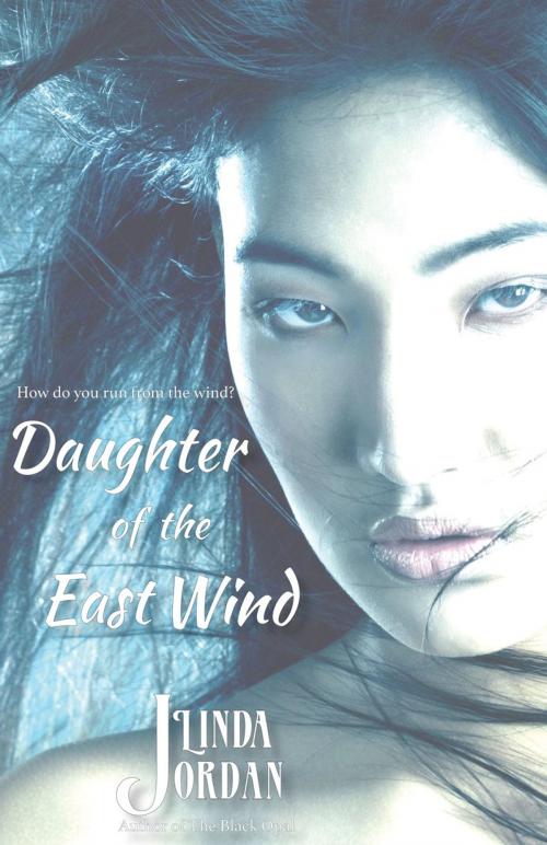 Cover of the book Daughter of the East Wind by Linda Jordan, Metamorphosis Press