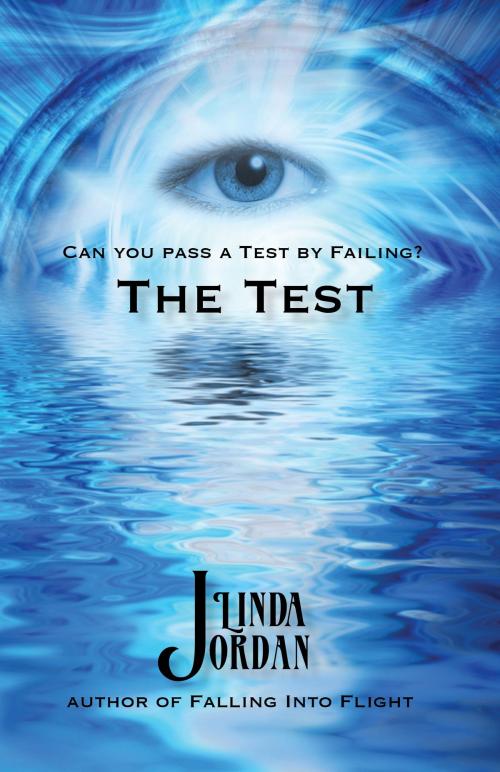 Cover of the book The Test by Linda Jordan, Metamorphosis Press