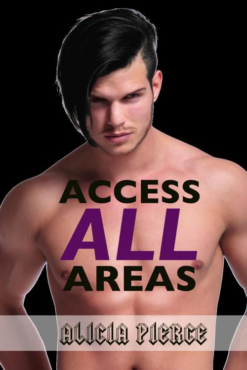 Cover of the book Access All Areas by Alicia Pierce, Black Key Press