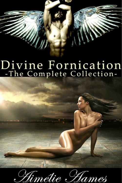 Cover of the book The Complete Collection of Divine Fornication by Aimélie Aames, Aimélie Aames