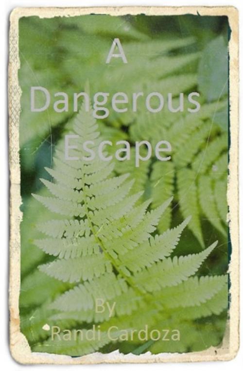 Cover of the book A Dangerous Escape by Randi Cardoza, CarRob Independent Publishing