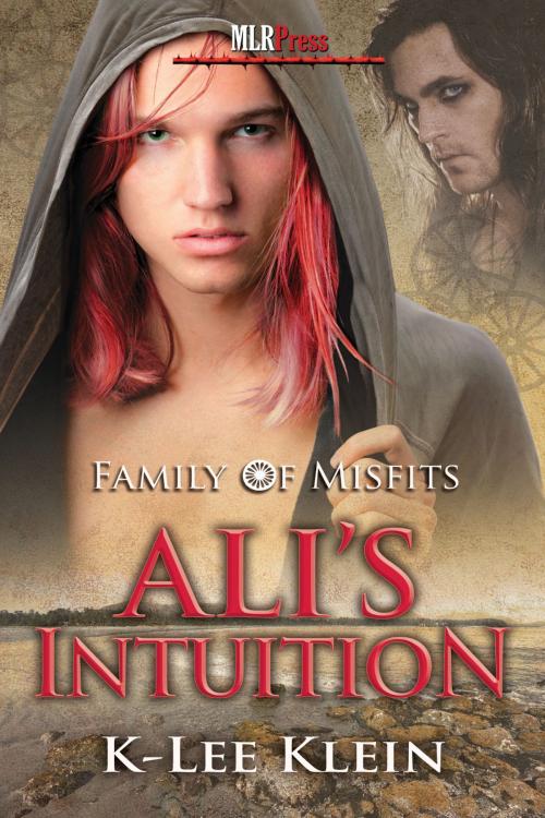 Cover of the book Ali's Intuition by K-lee Klein, MLR Press
