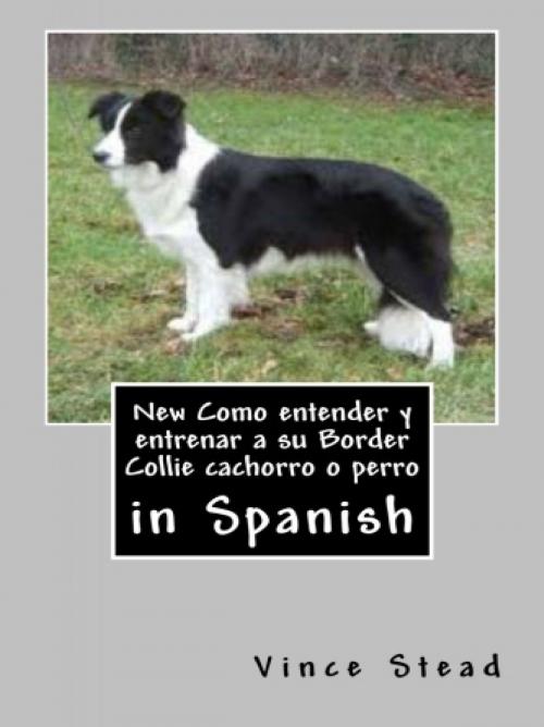 Cover of the book New Como entender y entrenar a su Border Collie cachorro o perro by Vince Stead, Vince Stead