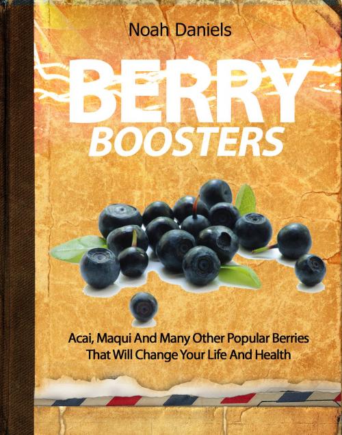 Cover of the book Berry Boosters by Noah Daniels, wolfmedia2000