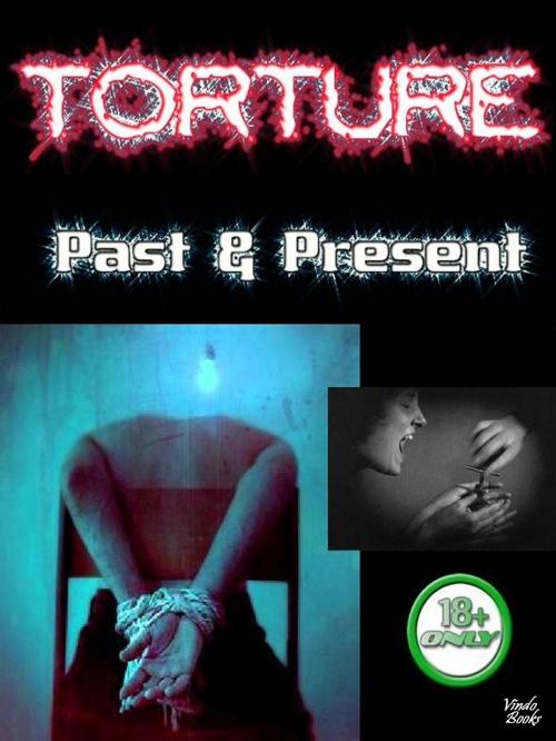 Cover of the book Torture Past & Present by Victor Kiethman, Vindo Books