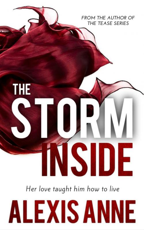 Cover of the book The Storm Inside by Alexis Anne, Spinning Compass Publishing
