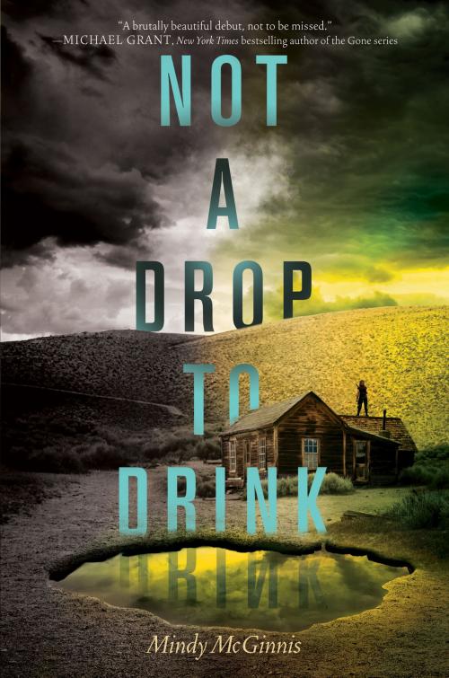 Cover of the book Not a Drop to Drink by Mindy McGinnis, Katherine Tegen Books