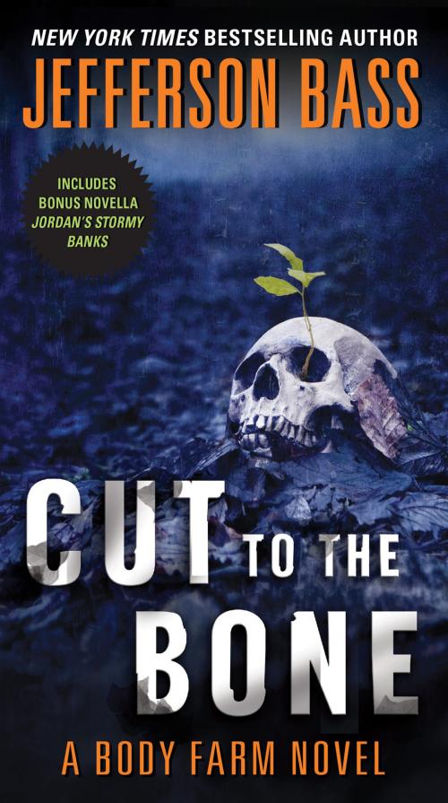 Cover of the book Cut to the Bone by Jefferson Bass, William Morrow