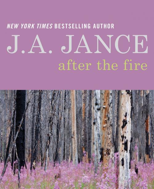 Cover of the book After the Fire by J. A Jance, William Morrow