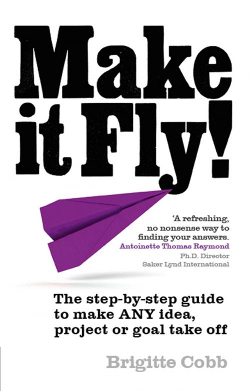 Cover of the book Make it Fly! by Brigitte Cobb, Pearson Education Limited