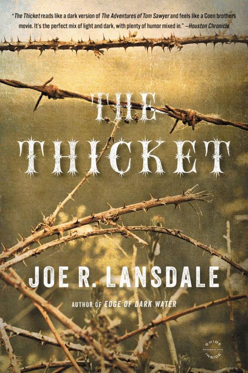 Cover of the book The Thicket by Joe R. Lansdale, Little, Brown and Company