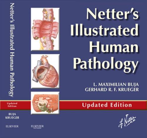 Cover of the book Netter's Illustrated Human Pathology Updated Edition E-book by L. Maximilian Buja, MD, Gerhard R. F. Krueger, MD, PhD, Elsevier Health Sciences