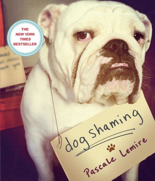 Cover of the book Dog Shaming by Pascale Lemire, Crown/Archetype