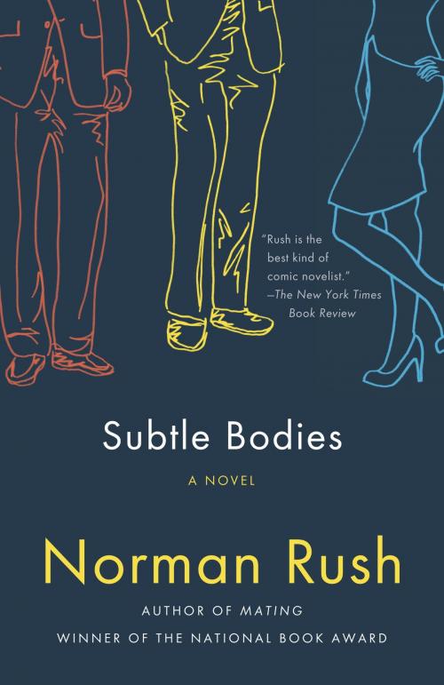 Cover of the book Subtle Bodies by Norman Rush, Knopf Doubleday Publishing Group