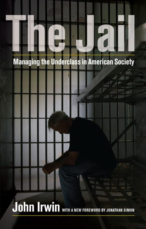 Cover of the book The Jail by John Irwin, University of California Press